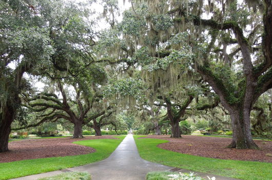 4 Admission Passes to Brookgreen Gardens - 2015 SCDTAA ...