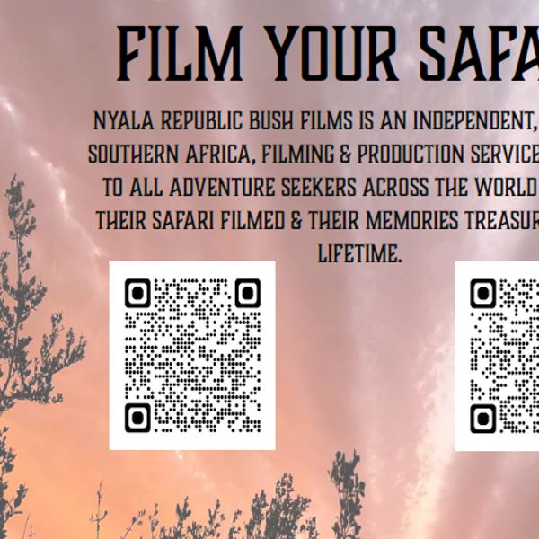 Gift Certificate 2 Free Days Filming on African Safari #1 2025 West