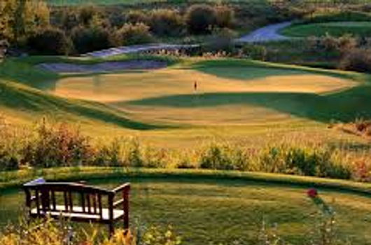 Sirocco Golf Club - Round w/carts - Magic of Horses Gala ...