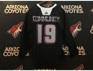 arizona coyotes jersey auction